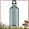 Gourde Aluminium TRAVELLER 60 Cl SIGG Silver